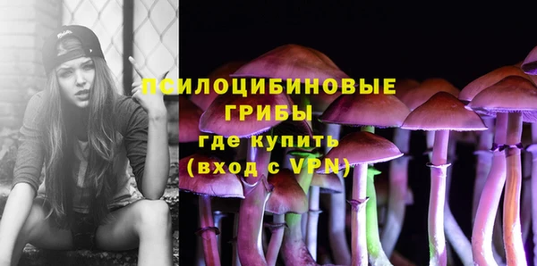 2c-b Горняк