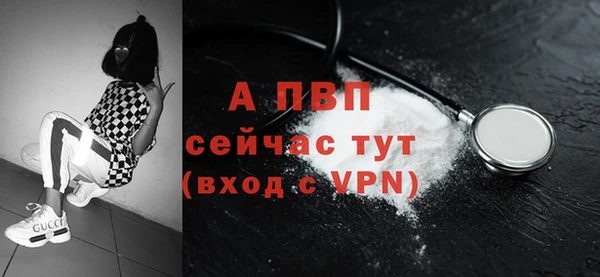 ECSTASY Горно-Алтайск