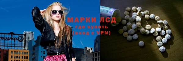 прущие грибы Гусев