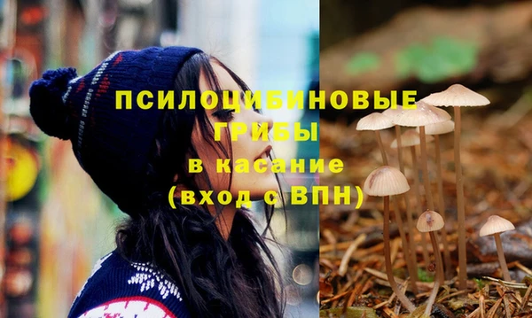ECSTASY Горно-Алтайск