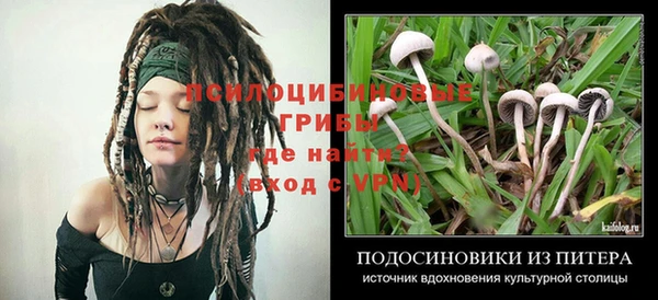 2c-b Горняк