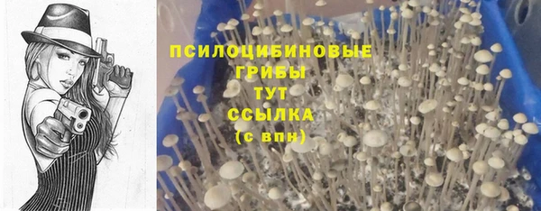 ECSTASY Горно-Алтайск
