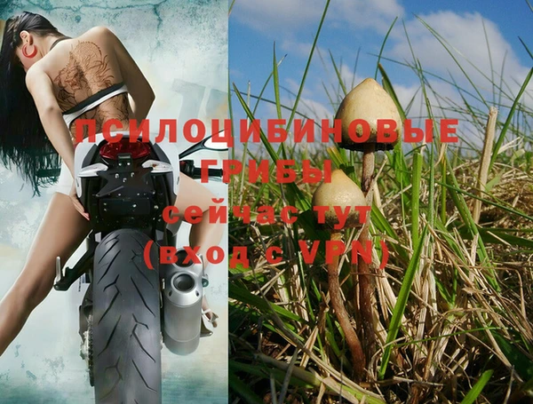 2c-b Горняк
