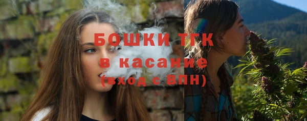 2c-b Горняк