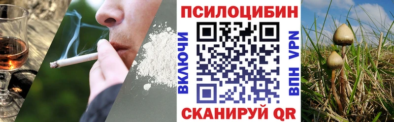 Псилоцибиновые грибы MAGIC MUSHROOMS  Купить где  Сим 